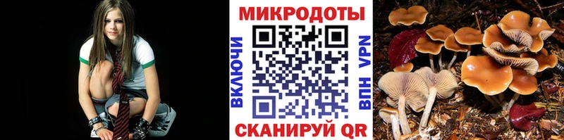 площадка телеграм наркошоп Грозный Галлюциногенные грибы мицелий kraken зеркало